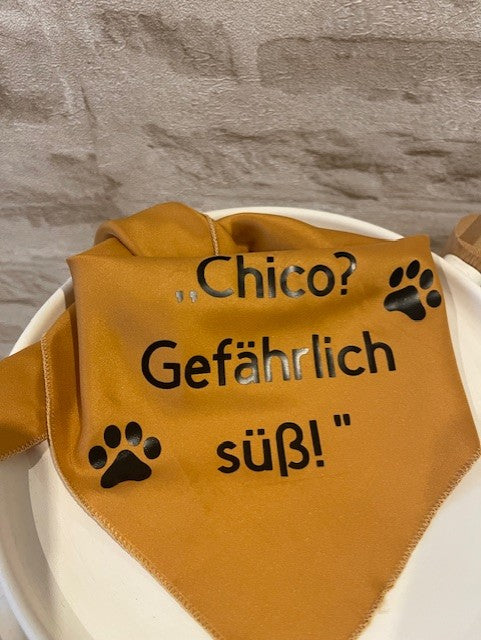 Hundehalstuch Bandana Dreieckstuch mit Spruch