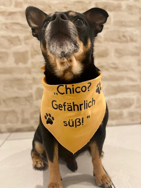 Hundehalstuch Bandana Dreieckstuch mit Spruch