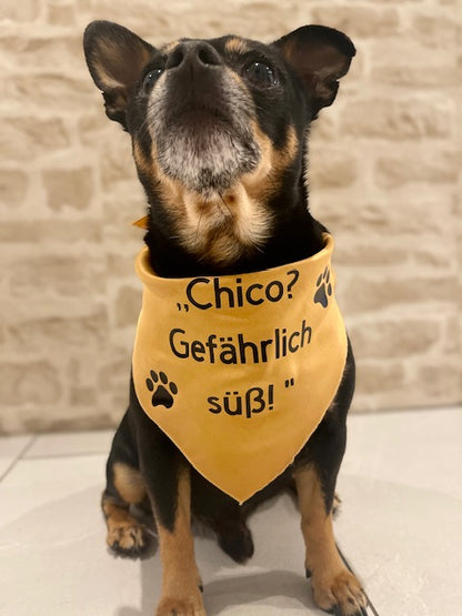 Hundehalstuch Bandana Dreieckstuch mit Spruch
